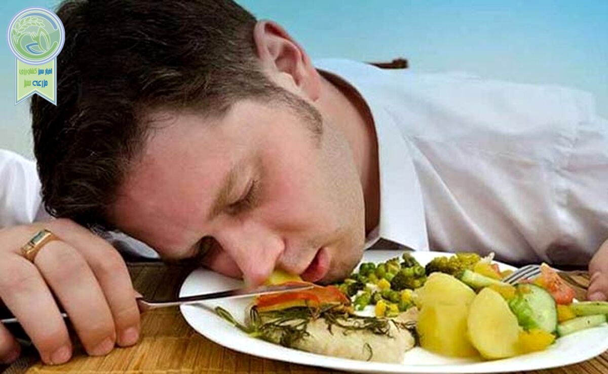 غذاهای خواب‌آور را بشناسید

