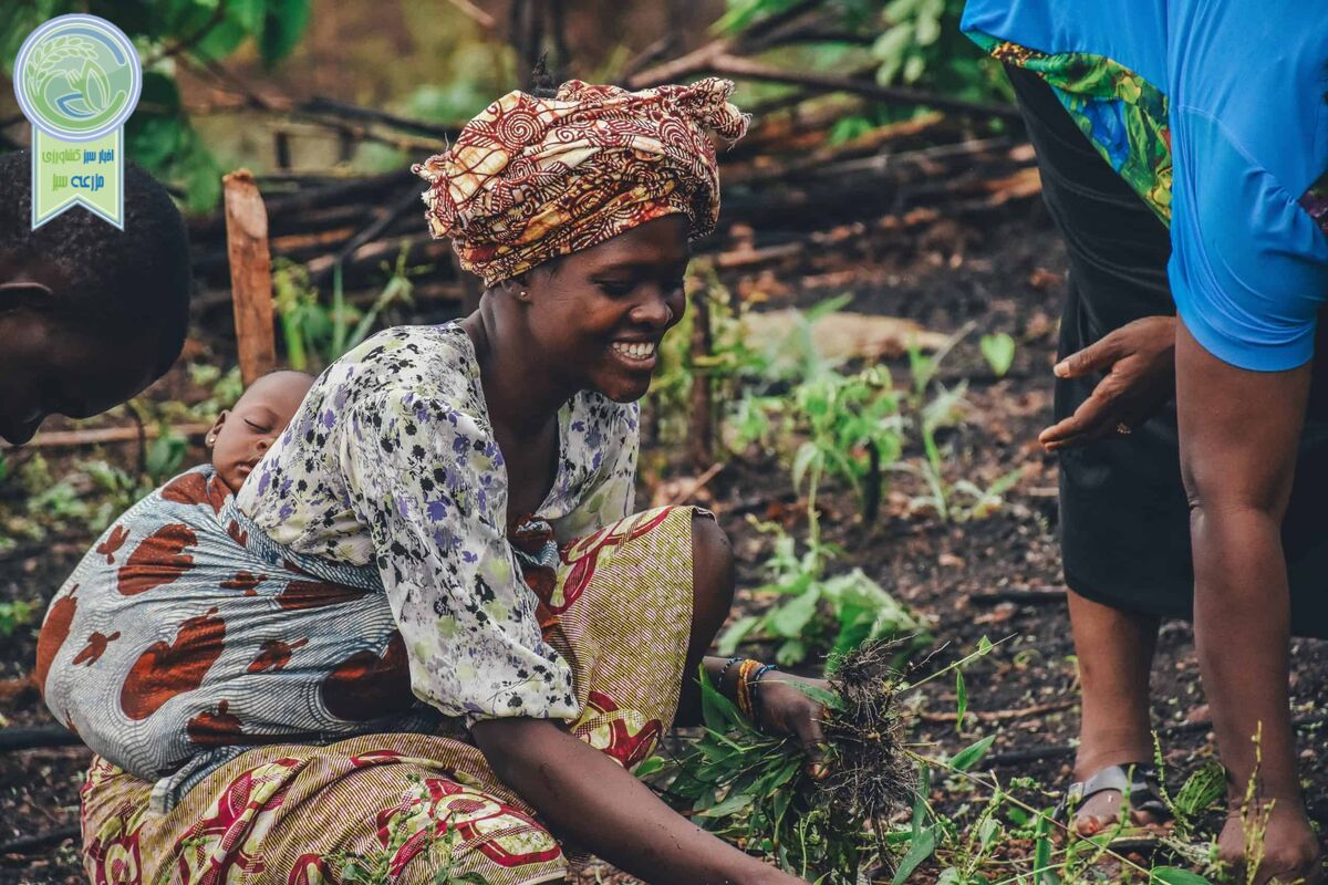 آفریقا یک طرح جسورانه برای کشاورزی دارد