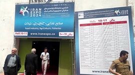 استقبال گسترده مقامات و هیات‌های تجاری از اکسپو 2024+ عکس

