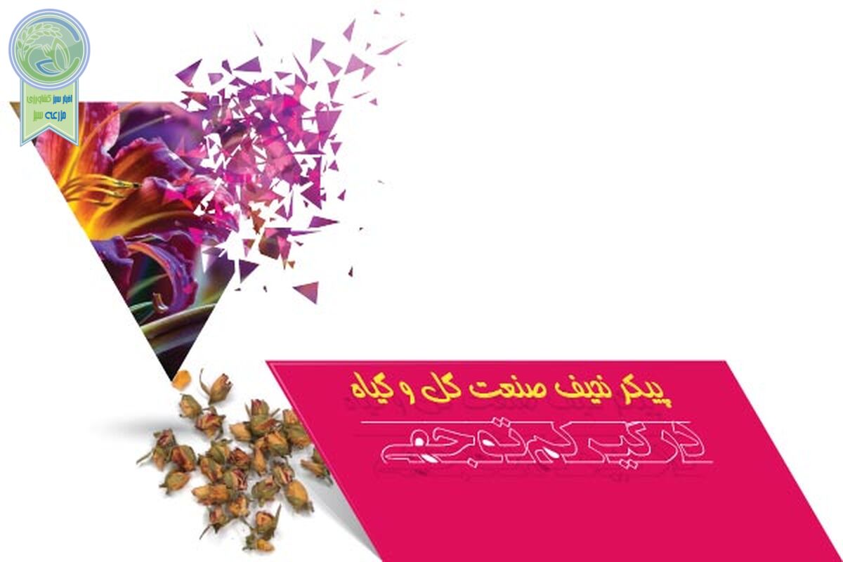 پیکر نحیف صنعت گل و گیاه درگیر کم‌توجهی

