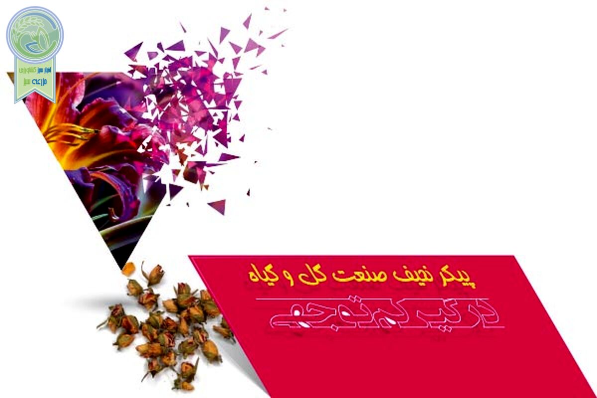 پیکر نحیف صنعت گل و گیاه درگیر کم‌توجهی

