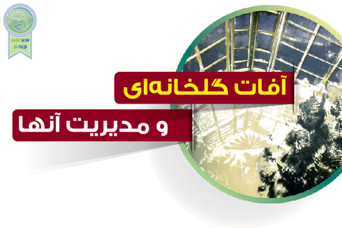 آفات گلخانه‌ای و مدیریت آنها

