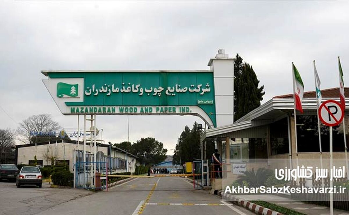 طرح تنفس جنگل؛ چالشی بزرگ بر سر راه صنعت سبز مازندران و ایران