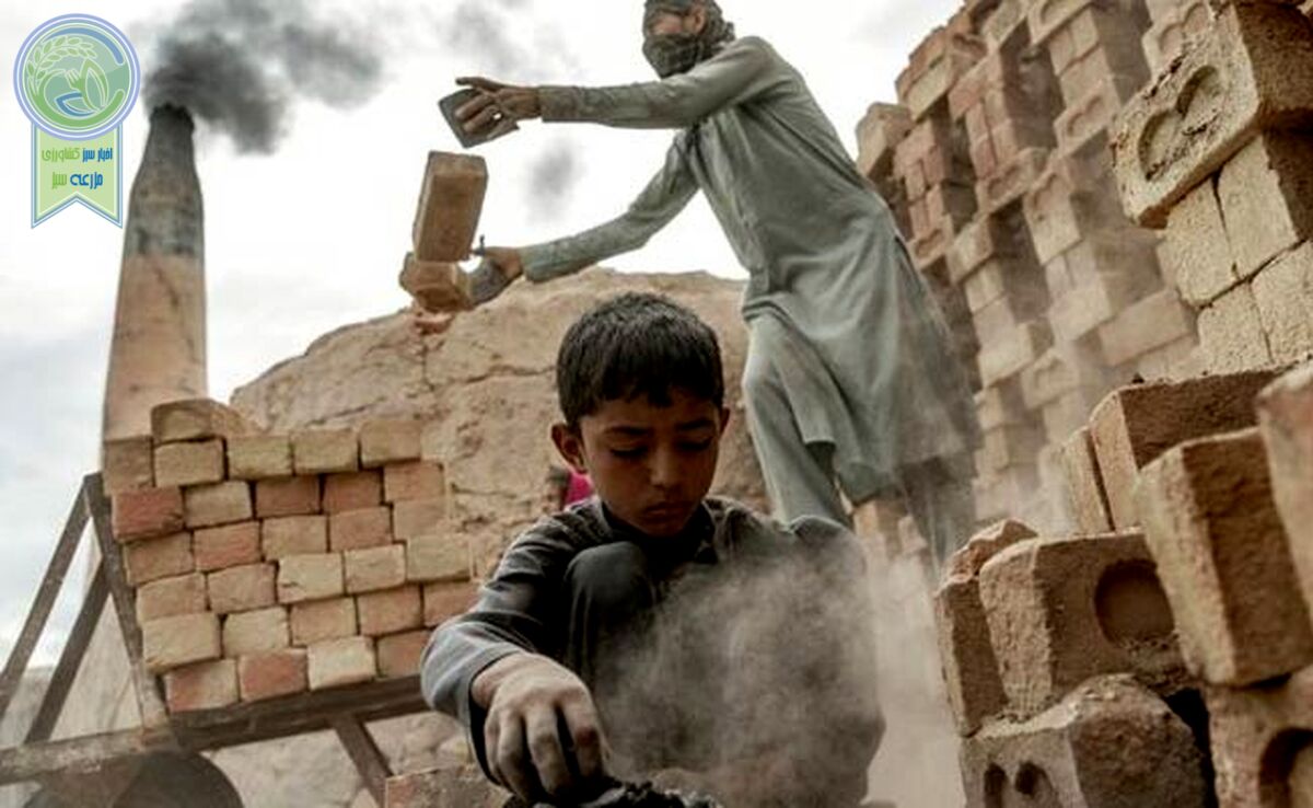 ۱۵۸۰ کودک کار افغان به همراه خانواده ردمرز شده‌اند

