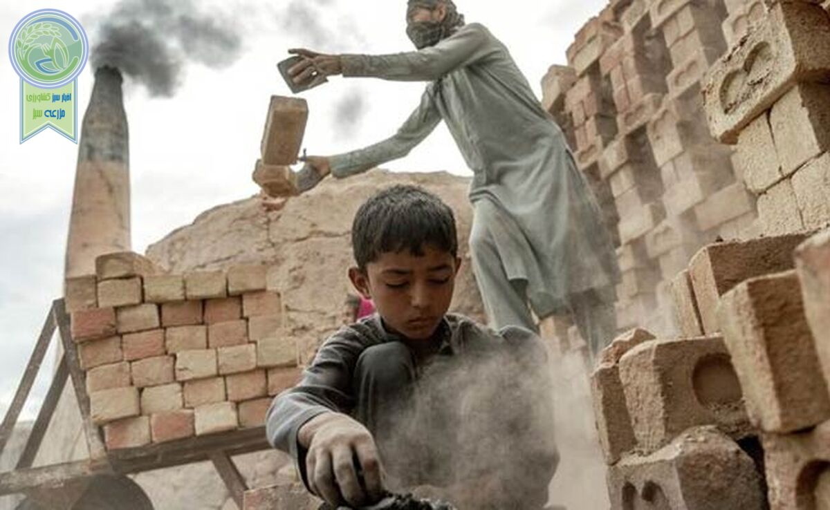 ۱۵۸۰ کودک کار افغان به همراه خانواده ردمرز شده‌اند

