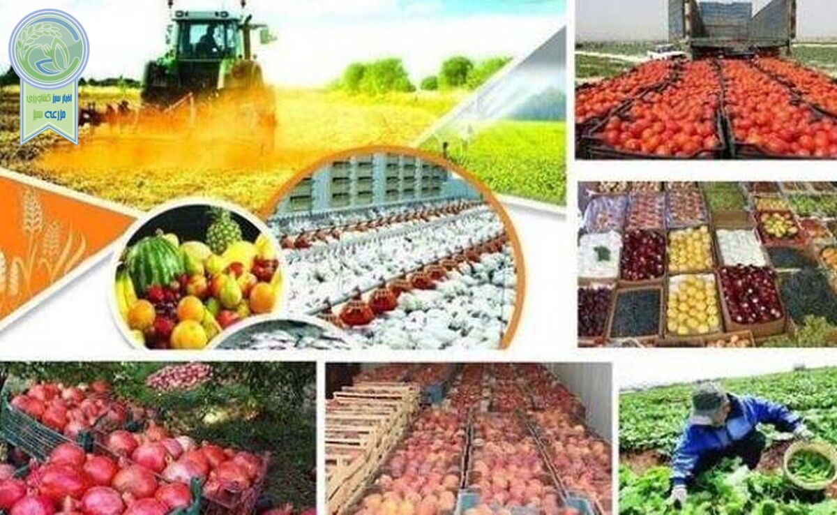 معرفی و تجلیل از برگزیدگان ملی بخش کشاورزی
