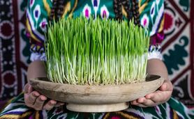 نوروز، فراتر از یک جشن بهاری و پیام‌آور صلح و دوستی

