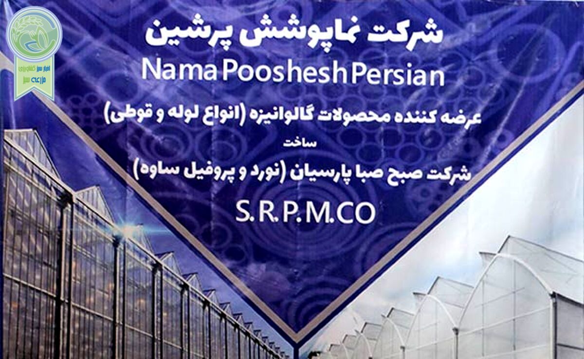 نوسان‌های ارزی آزارمان می‌دهد

