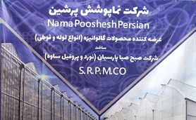 نوسان‌های ارزی آزارمان می‌دهد

