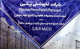 نوسان‌های ارزی آزارمان می‌دهد

