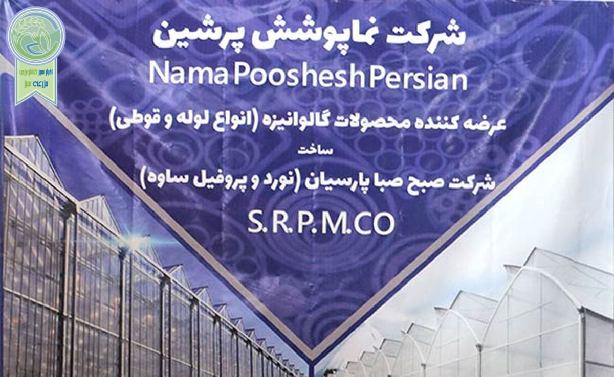 نوسان‌های ارزی آزارمان می‌دهد

