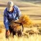 ۱۰۰ همت دیگر برای گندمکاران؛ دولت به دنبال تسویه بیش از ۹۰ درصد مطالبات