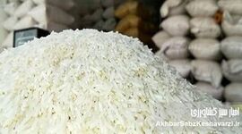  ابررانت برنج؛ امضایی که سفره کشاورزان را خالی کرد