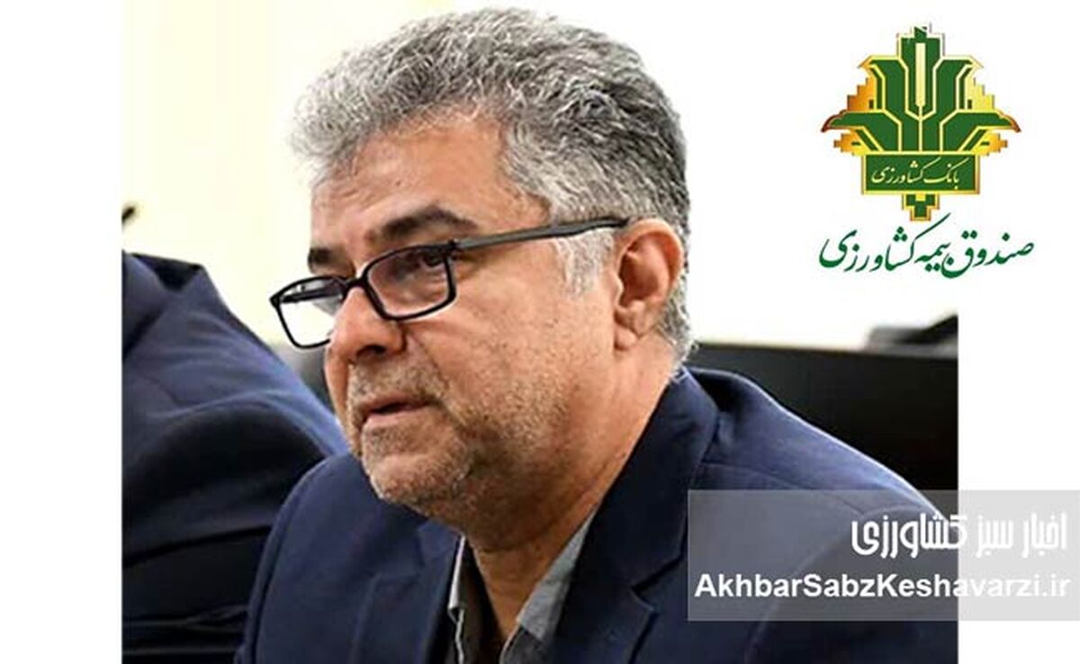 جزئیات اجرای بیمه فراگیر گندم؛ از سهم حق بیمه کشاورزان تا نحوه پرداخت غرامت