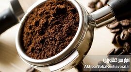 باورهای غلط درباره قهوه: افسانه‌ها را کنار بگذارید و از فنجان قهوه‌تان لذت ببرید!