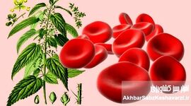  گیاهان معجزه گر برای درمان کم خونی