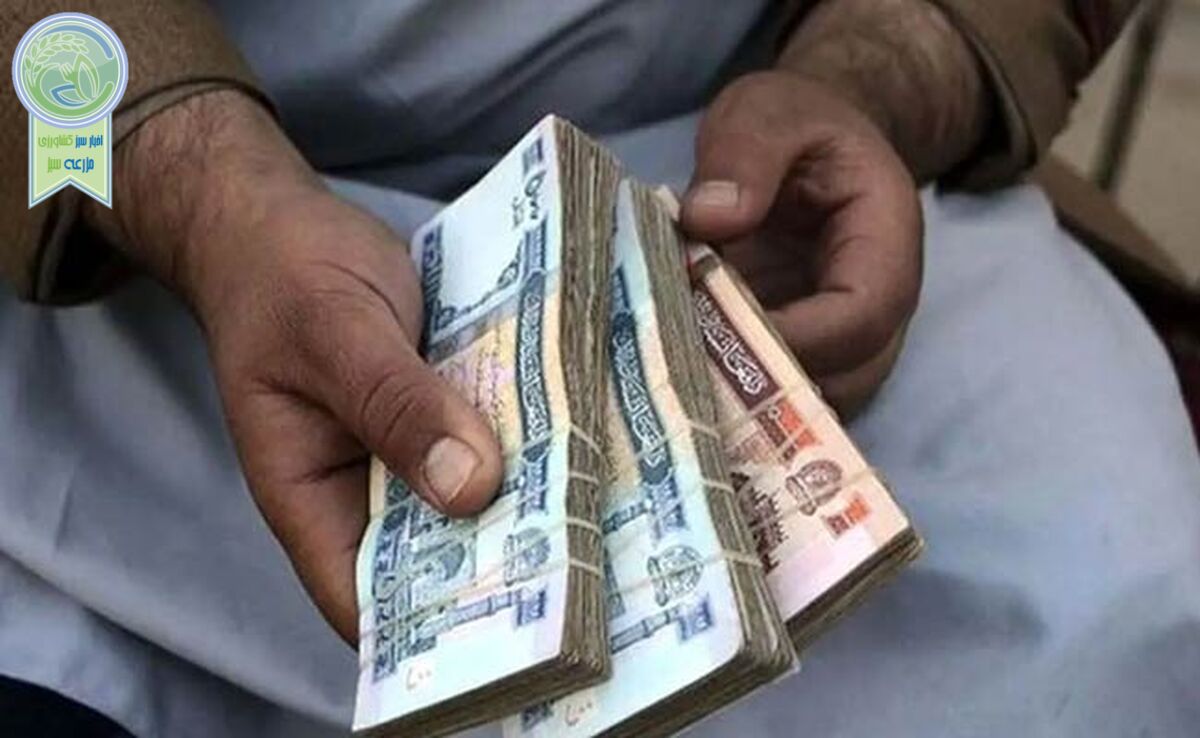 سبقت افغانی از دلار!

