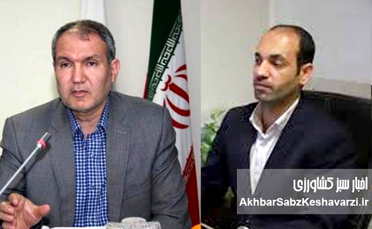 تراز جهانی غذا در سال ۲۰۲۳: از تولید تا مصرف انسانی