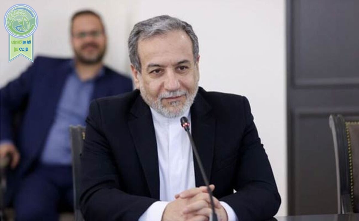 عراقچی: موفقیت مذاکرات منوط به آگاهی از مواضع واقعی آمریکاست+ ویدئو