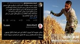 مطالبات گندمکاران واقعاً تسویه شد؟/ تفاوت میان توییت وزیر و صدای گندمکار