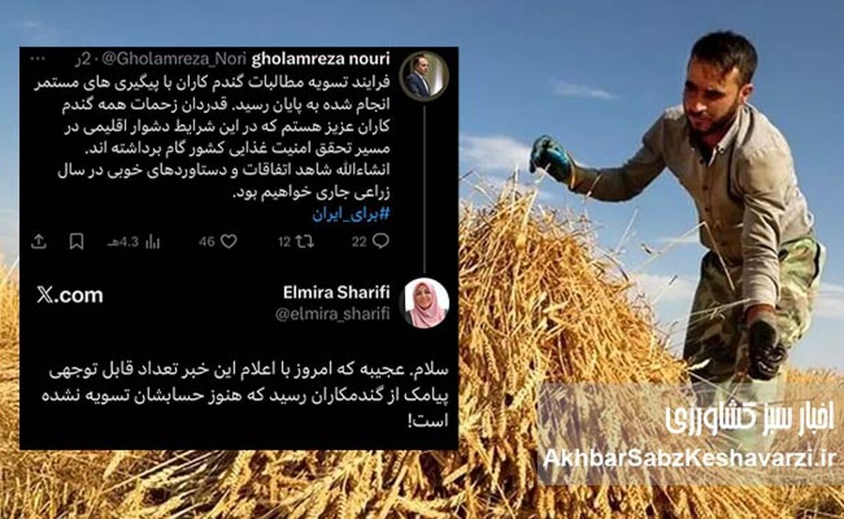 مطالبات گندمکاران واقعاً تسویه شد؟/ تفاوت میان توییت وزیر و صدای گندمکار