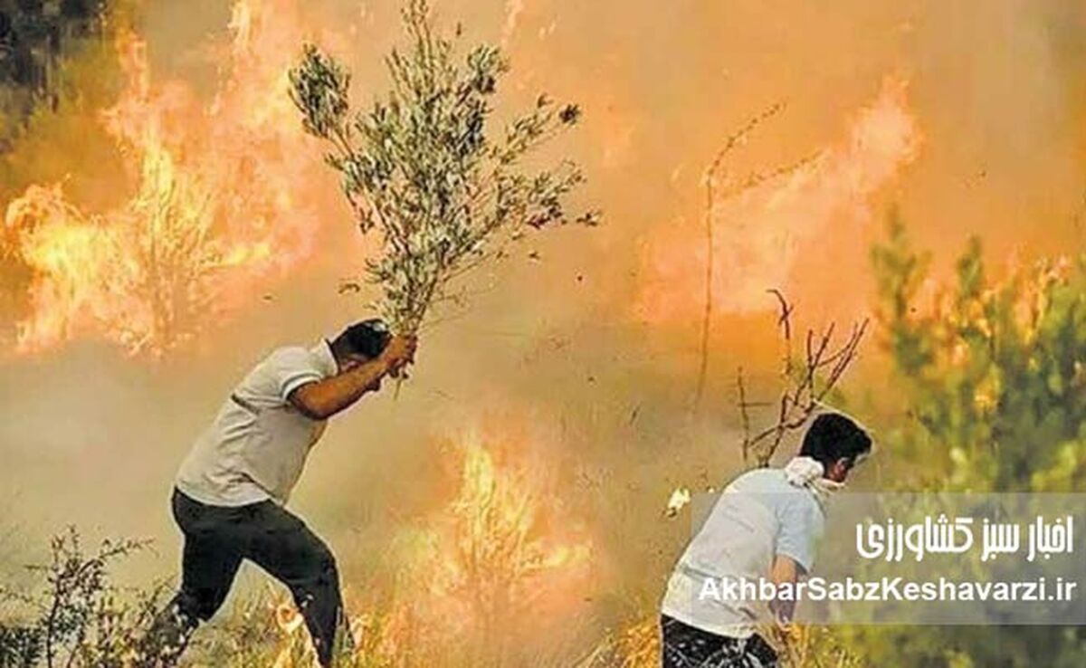 آتش‌ زاگرس؛ شعله‌هایی که جان می‌گیرد، نهال‌هایی که شعارند!