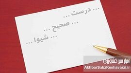  اصول نگارش فارسی: جمع بستن صحیح کلمات و اجتناب از اشتباهات رایج
