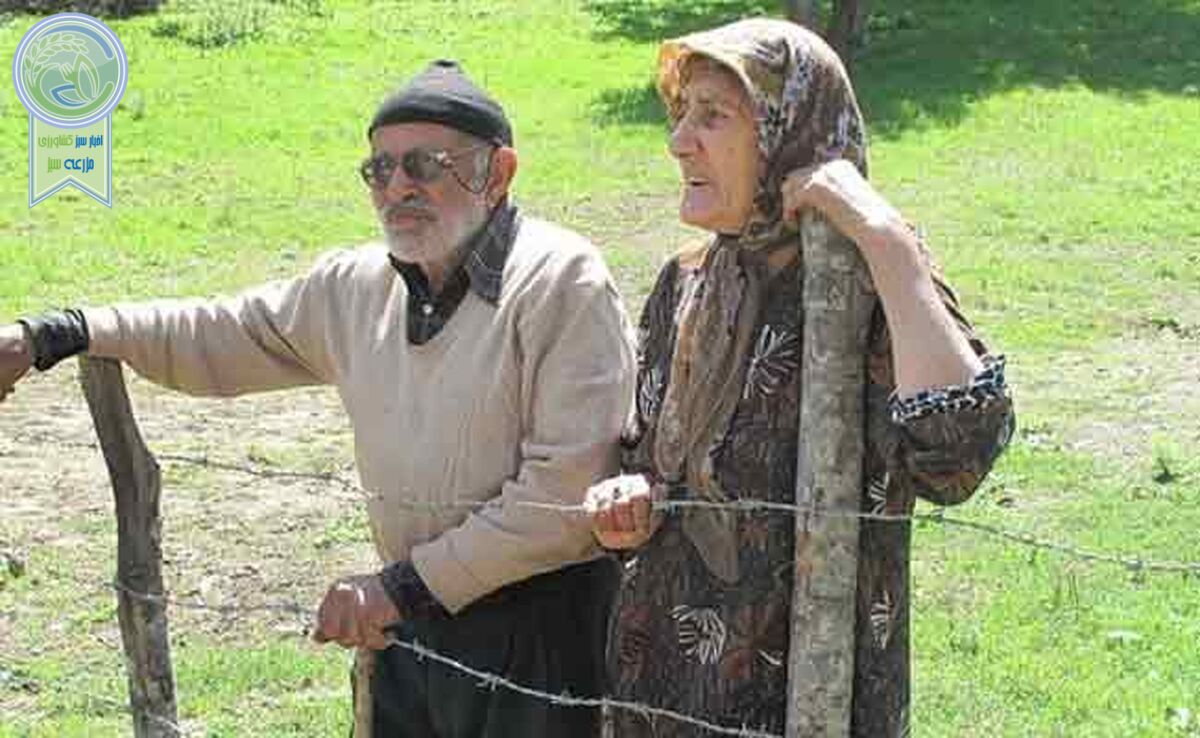 سالمندان و امنیت پایین اقتصادی