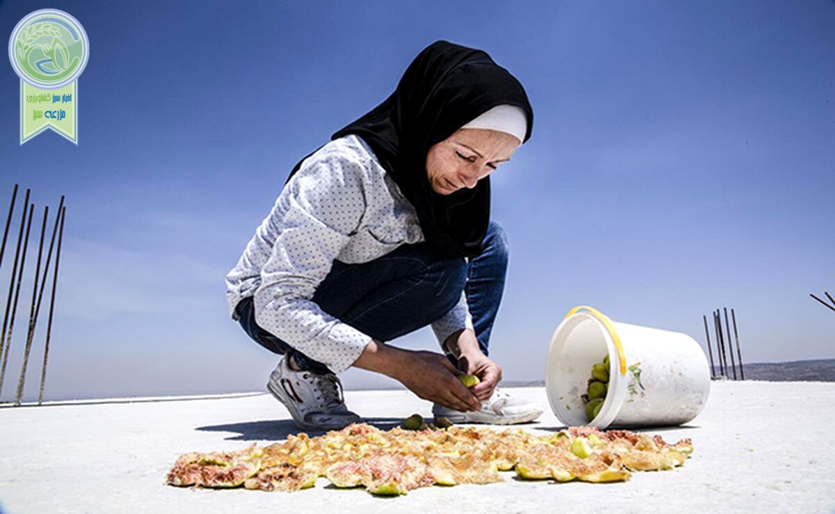 غلبه بر گرسنگی از طریق حمایت اجتماعی، سرمایه‌گذاری و تاب‌آوری