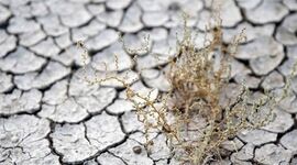 فرسایش خاک بلای جان کشاورزی

