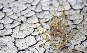 فرسایش خاک بلای جان کشاورزی

