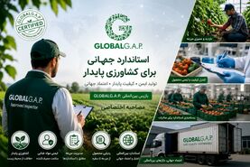 GLOBALG.A.P؛ کلید طلایی توسعه صادرات محصولات کشاورزی هرمزگان به بازارهای جهانی