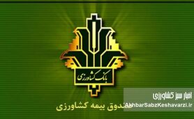 خبر خوب برای گندمکاران؛ غرامت‌ها ۱۴۰٪ بیشتر شد، بیمه هم فراگیرتر