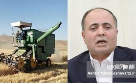 ناکارآمدی مدیریتی وزیر کشاورزی و کاهش حدود ۴ میلیون تنی گندم در سال جاری