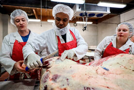 کمک های مالی به فرآوری گوشت را شروع کردیم