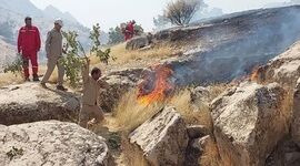 آتش بار دیگر در جنگل‌های باشت شعله‌ور شد