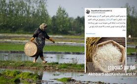 توئیت جنجالی کسایی‌زاده، پرده از بحران تامین برنج برداشت