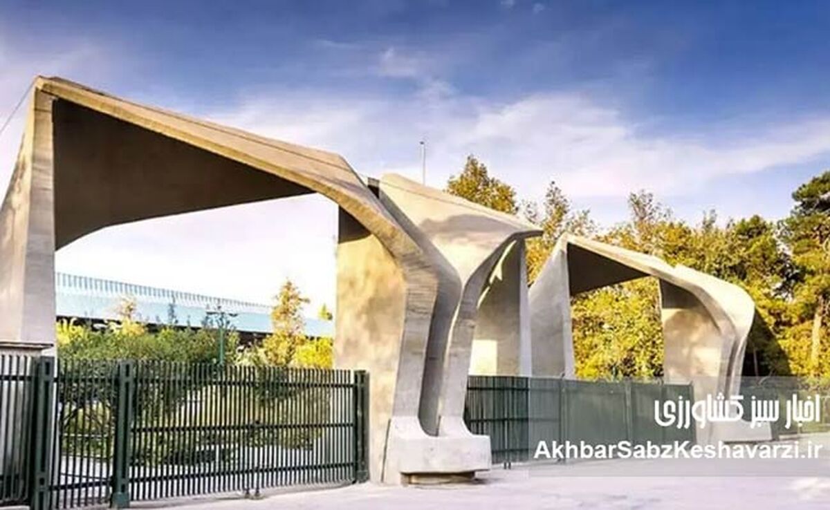 اعتراض کارمندان دانشگاه‌ها به تبعیض حقوقی؛ بیانیه‌ای که خبرساز شد