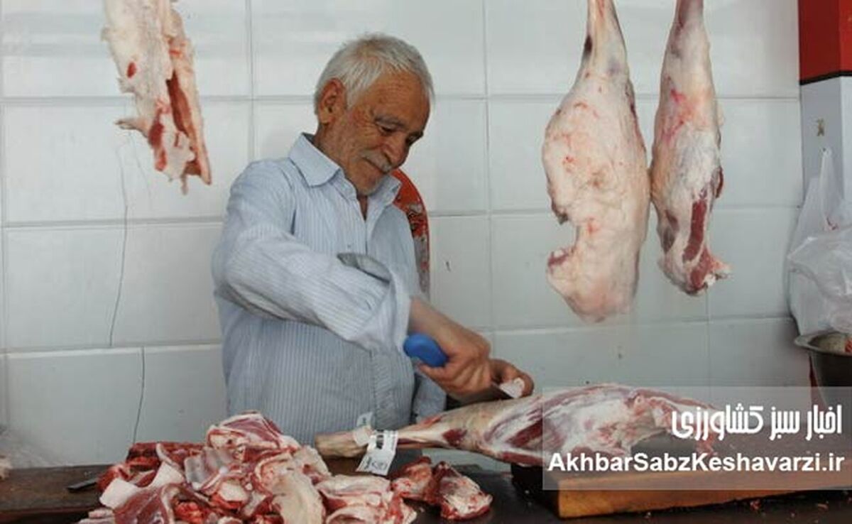 سقوط سرانه مصرف گوشت به ۵ کیلوگرم؛ قصابی‌ها ساکت‌ترین مغازه‌های شهرند