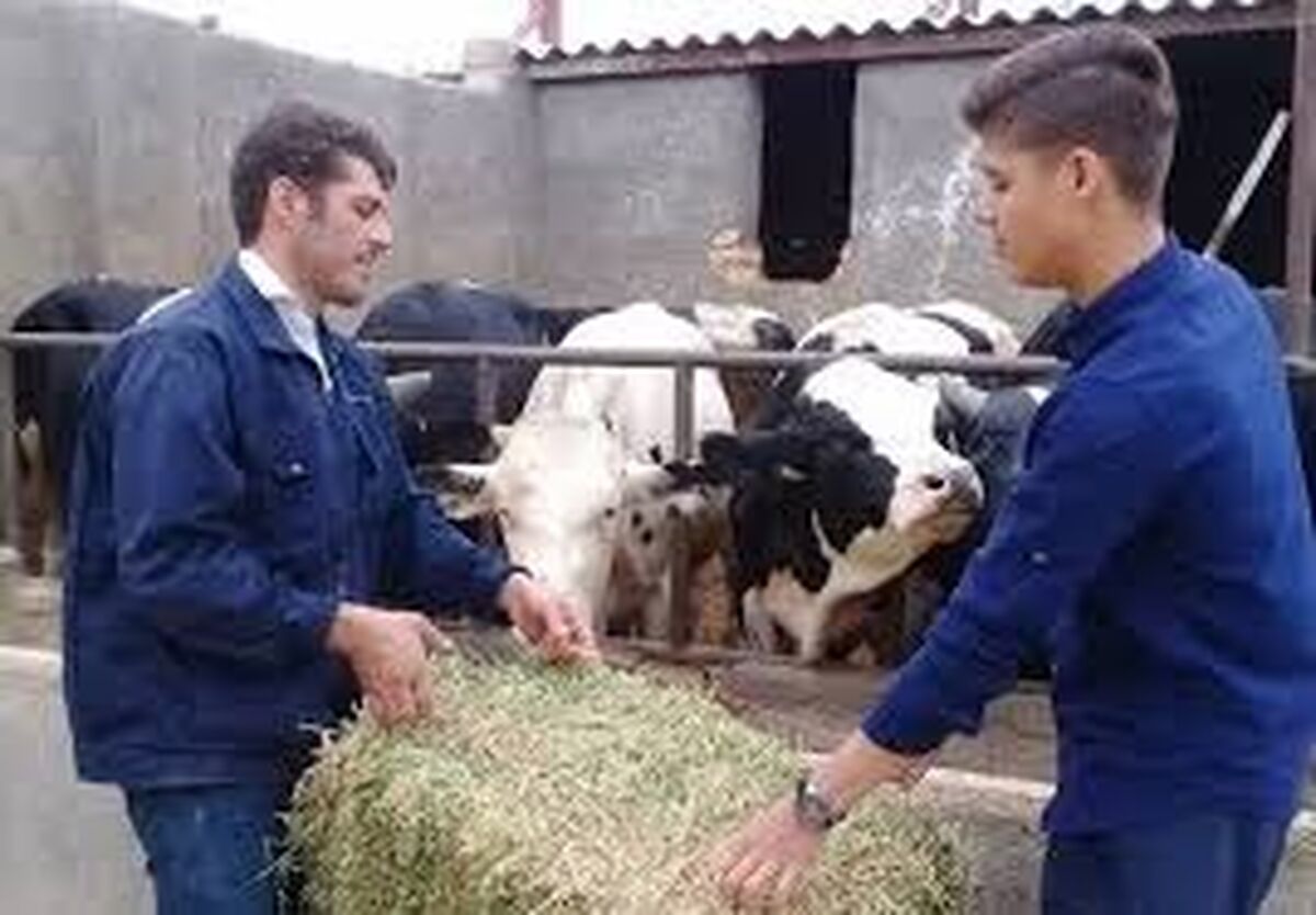 تولیدات روستایی نیاز به مجوز دامپزشکی ندارد


