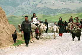 آغاز کوچ بهاره از اواخر فروردین

