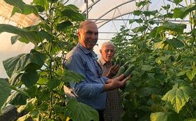 درآمدزایی از گلخانه‌ای کوچک+ فیلم

