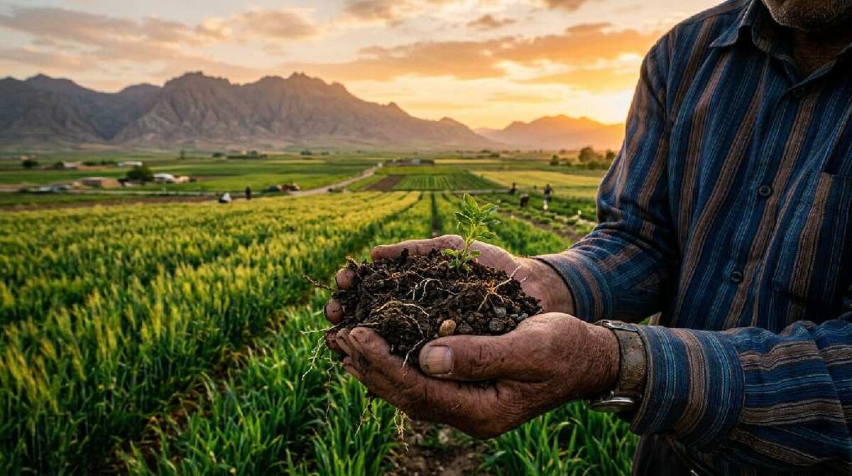 چرا بعضی خاک‌ها با وجود کوددهی زیاد، حاصلخیزی خود را از دست می‌دهند؟