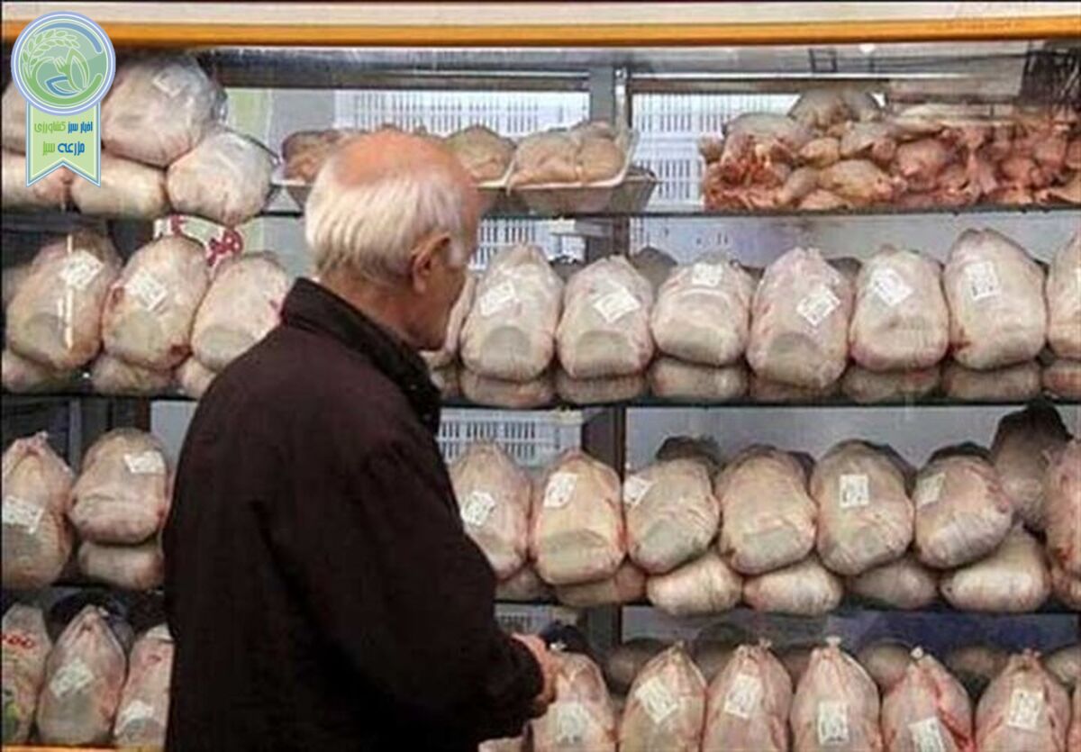 نوسانی در بازار مرغ شب‌های قدر نداریم

