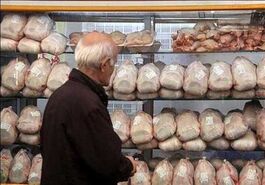 نوسانی در بازار مرغ شب‌های قدر نداریم

