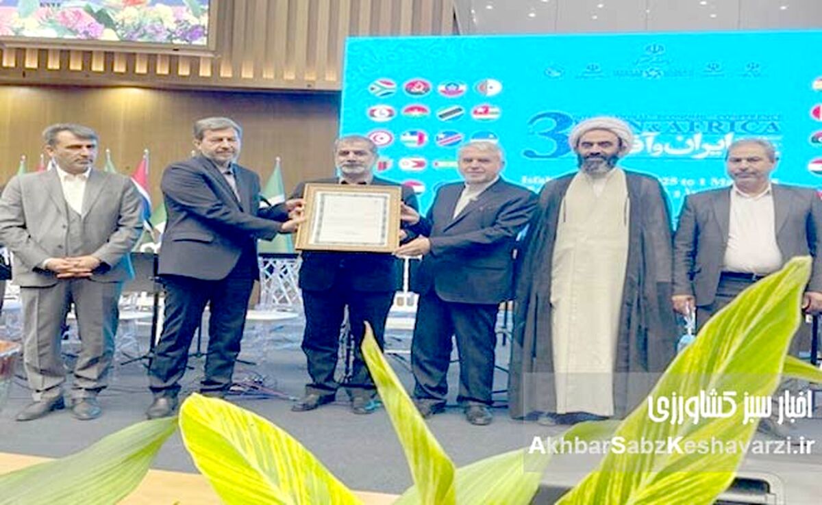 در سومین اجلاس همکاری‌های ایران و آفریقا: تجلیل از مدیرعامل بانک شهر به پاس نقش‌آفرینی در روابط اقتصادی