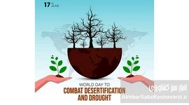 بیابان‌زایی در حال بلعیدن زمین؛ زنگ خطر جهانی برای آینده

