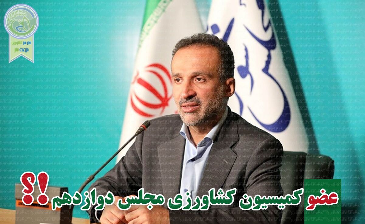 ابراهیم نجفی در مجلس ماندگار شد

