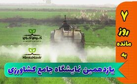 ارز ترجیحی برای واردات مواد اولیه برقرار شود

