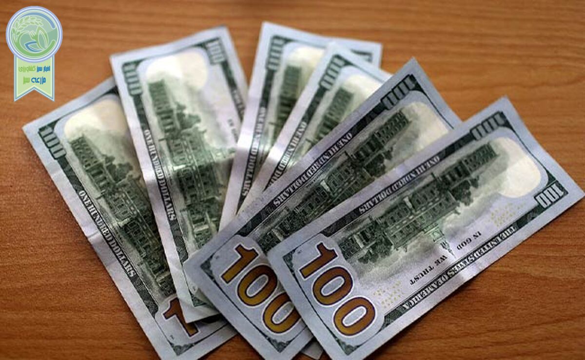 قیمت دلار و یورو امروز شنبه ۲۹ اردیبهشت ۱۴۰۳+ جدول

